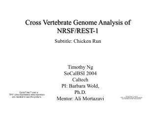 Cross Vertebrate Genome Analysis of NRSF/REST-1 Subtitle: Chicken Run