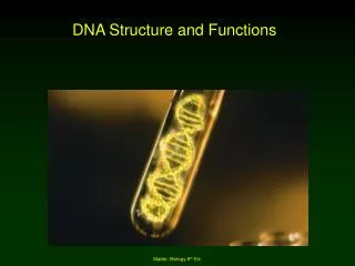 DNA Structure and Functions