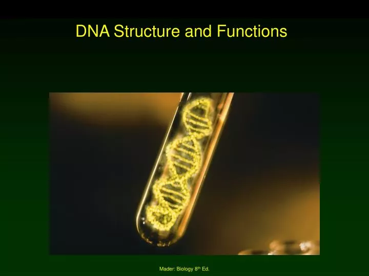 dna structure and functions