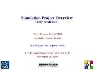 Simulation Project Overview (Very condensed)