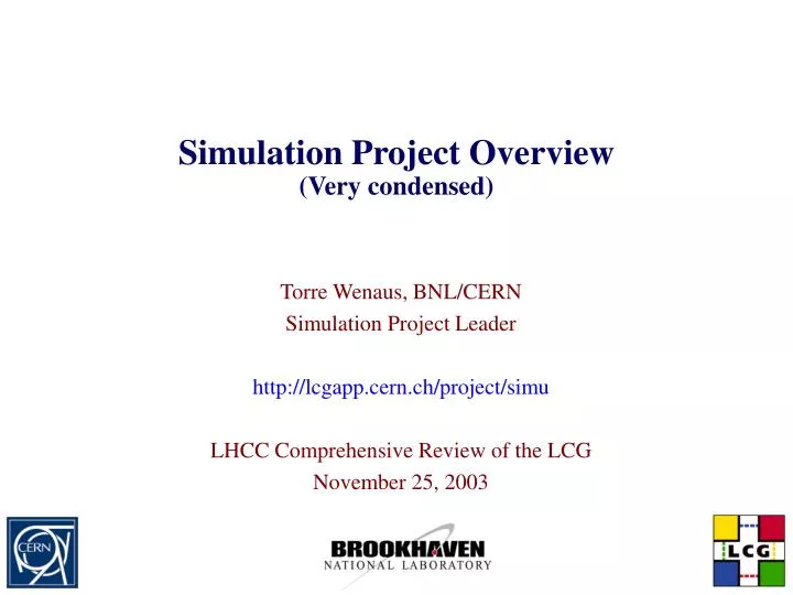 simulation project overview very condensed