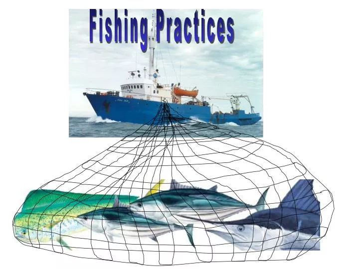 Impacts of purse-seine fishing on seabirds and approaches to mitigate  bycatch