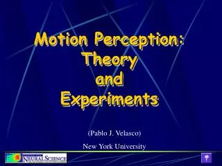 Motion Perception: Theory and Experiments