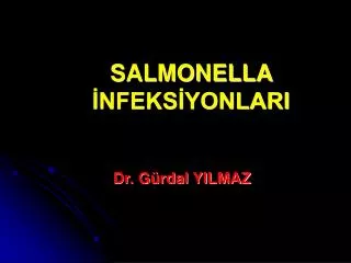 salmonella nfeks yonlari
