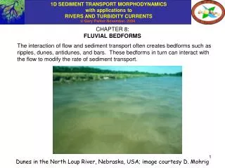 CHAPTER 8: FLUVIAL BEDFORMS