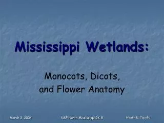 Mississippi Wetlands: