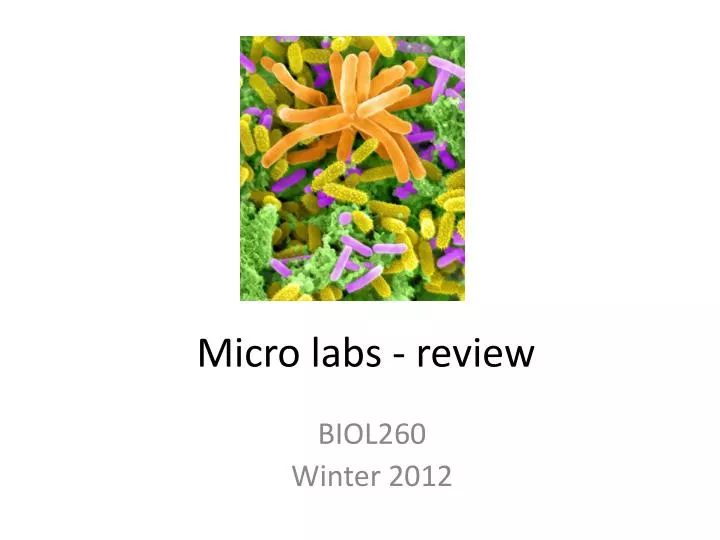 micro labs review