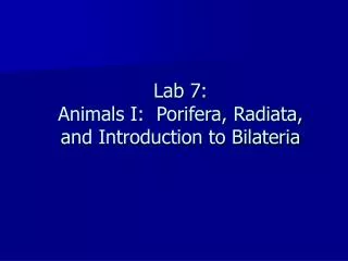 Lab 7: Animals I: Porifera, Radiata, and Introduction to Bilateria