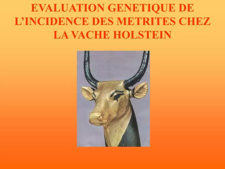 evaluation genetique de l incidence des metrites chez la vache holstein