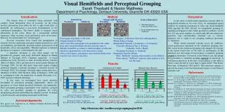Visual Hemifields and Perceptual Grouping