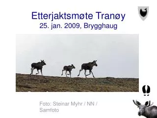 Etterjaktsmøte Tranøy 25. jan. 2009, Brygghaug