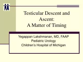 Testicular Descent and Ascent: A Matter of Timing