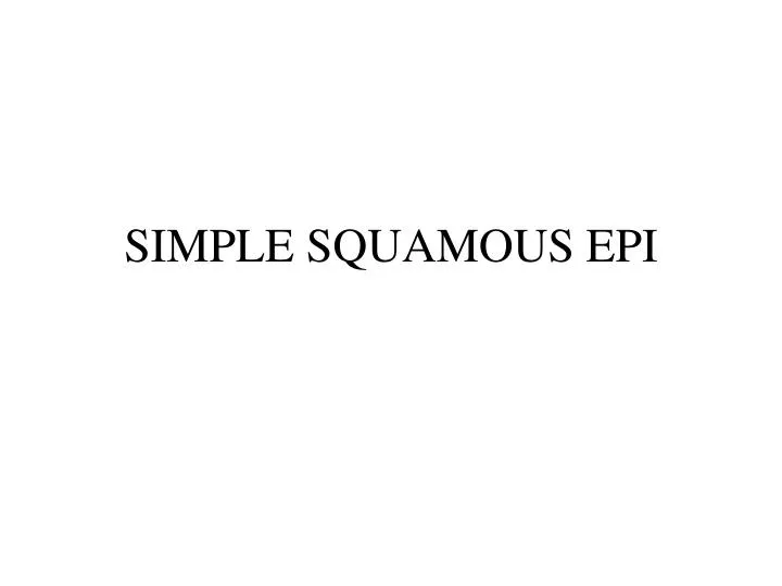 simple squamous epi