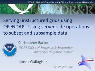 Serving unstructured grids using OPeNDAP : Using server-side operations to subset and subsample data