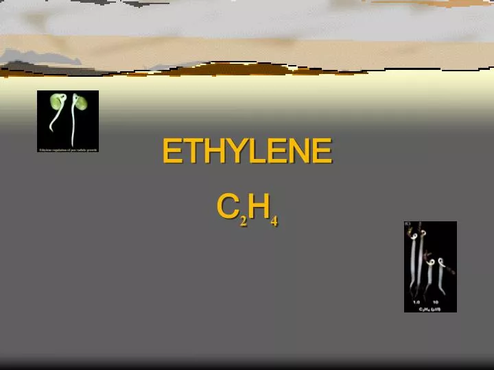 ethylene c 2 h 4