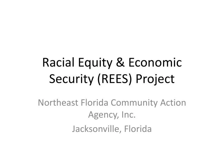 racial equity economic security rees project