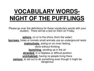 VOCABULARY WORDS-NIGHT OF THE PUFFLINGS