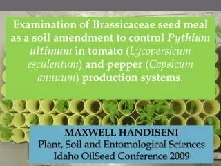 MAXWELL HANDISENI Plant, Soil and Entomological Sciences Idaho OilSeed Conference 2009