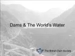 Dams &amp; The World’s Water
