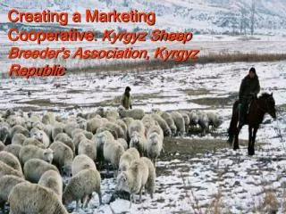 Creating a Marketing Cooperative : Kyrgyz Sheep Breeder's Association, Kyrgyz Republic