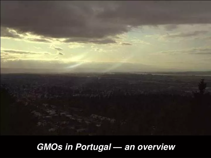 gmos in portugal an overview