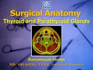 Surgical Anatomy Thyroid and Parathyroid Glands