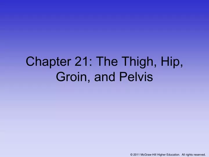 chapter 21 the thigh hip groin and pelvis