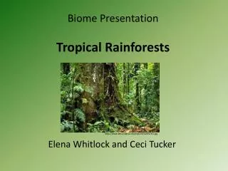 Biome Presentation Tropical Rainforests