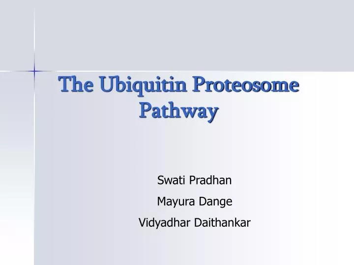 the ubiquitin proteosome pathway