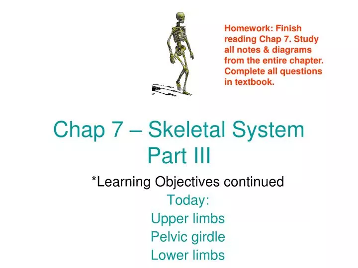 chap 7 skeletal system part iii