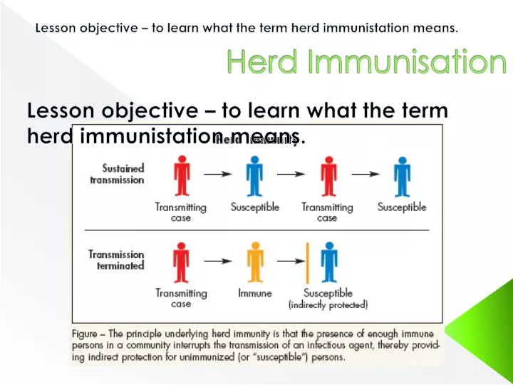 herd immunisation