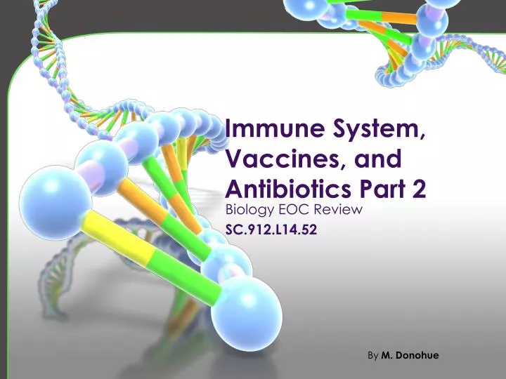 immune system vaccines and antibiotics part 2