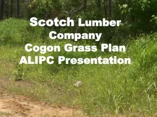 Scotch Lumber Company Cogon Grass Plan ALIPC Presentation