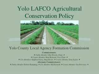 Yolo LAFCO Agricultural Conservation Policy