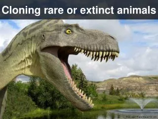 Cloning rare or extinct animals