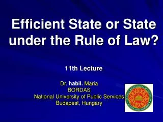 Efficient State or State under the Rule of Law? 11th Lecture