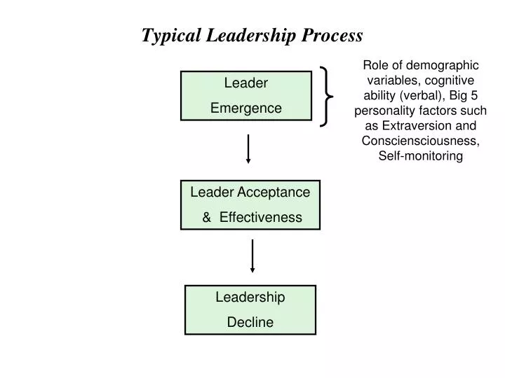 typical leadership process