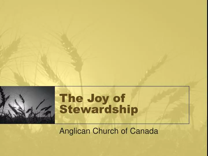 the joy of stewardship