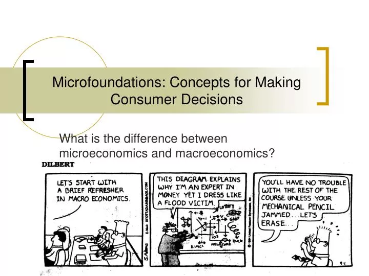 microfoundations concepts for making consumer decisions