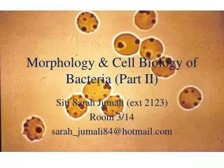 Morphology &amp; Cell Biology of Bacteria (Part II)