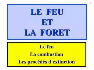 le feu et la foret
