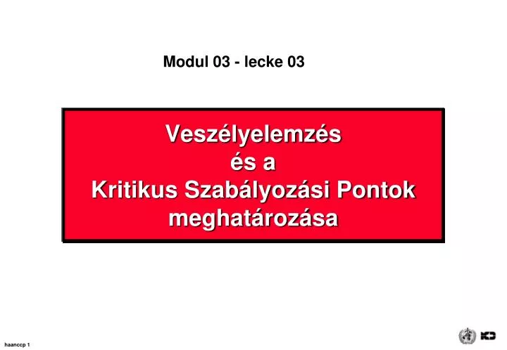 vesz lyelemz s s a kritikus szab lyoz si pontok meghat roz sa