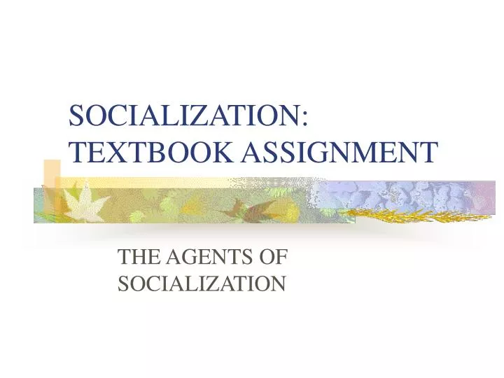socialization introduction for assignment