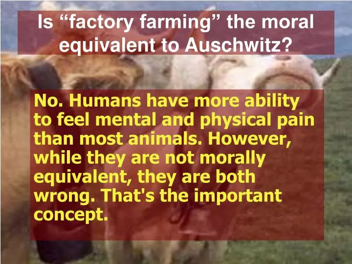 is factory farming the moral equivalent to auschwitz