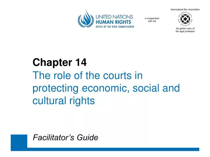 chapter 14 the role of the courts in protecting economic social and cultural rights