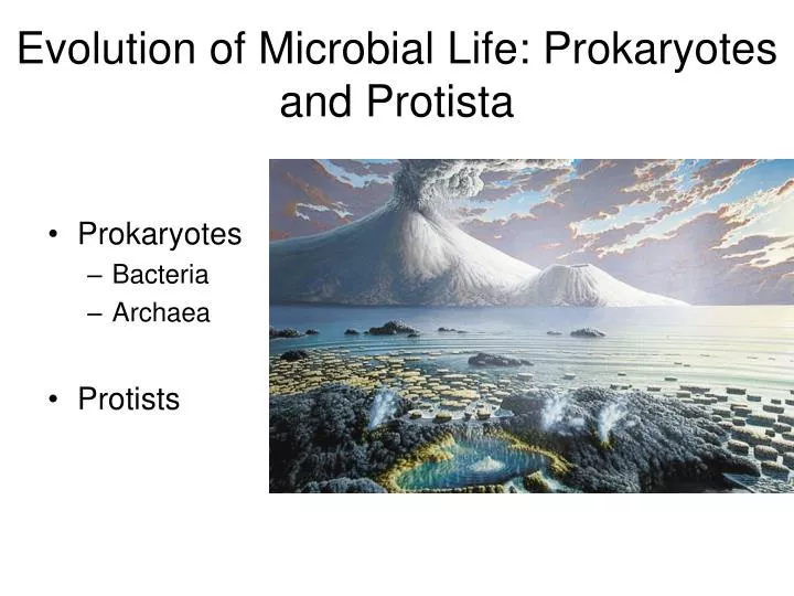 evolution of microbial life prokaryotes and protista