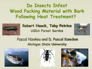 Do Insects Infest Wood Packing Material with Bark Following Heat Treatment?