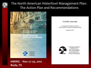 The North American Waterfowl Management Plan: The Action Plan and Recommendations