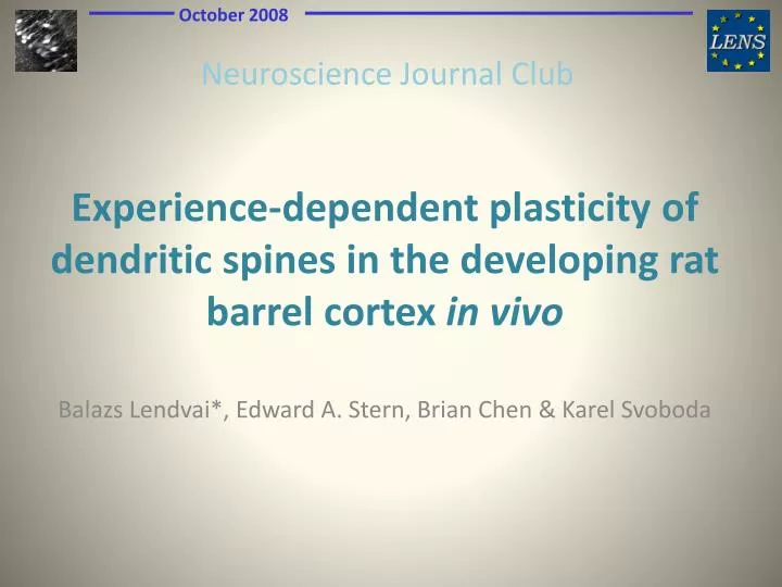 neuroscience journal club