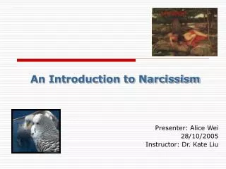 An Introduction to Narcissism